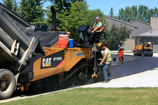 Best Decorative Driveway Pavers  in Point Venture, TX